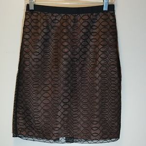 Kenar Sheer Embroidered Skirt